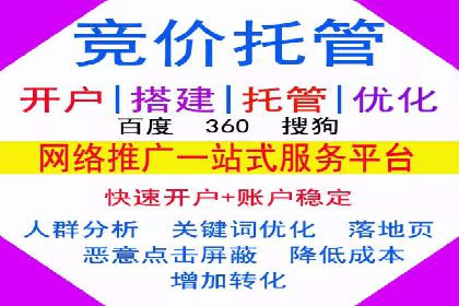金融行业SEM运营托管的策略与效果