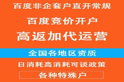 SEM代理服务：案例分享，效果显著