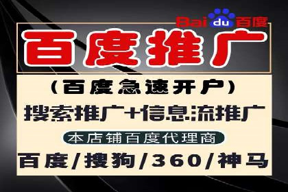 深入了解SEM代运营服务公司的技术实力